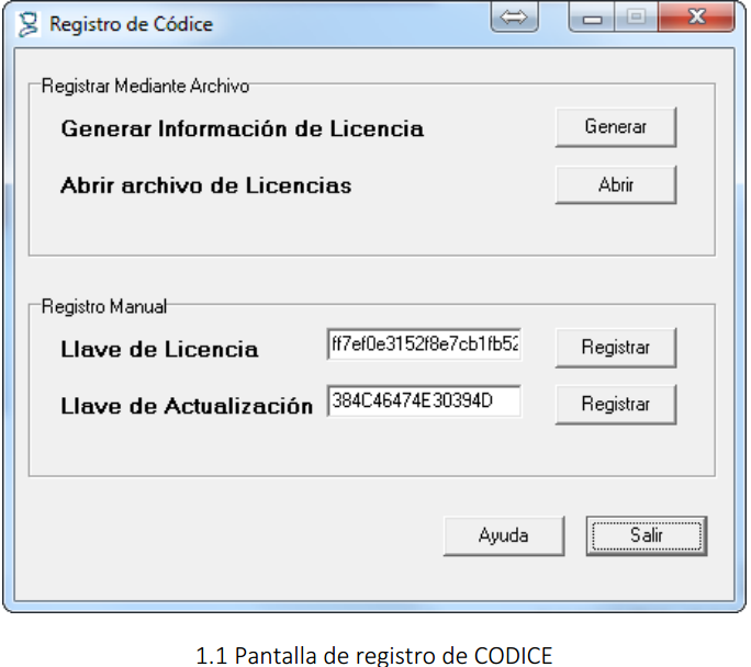 1.1 Pantalla de registro de CODICE